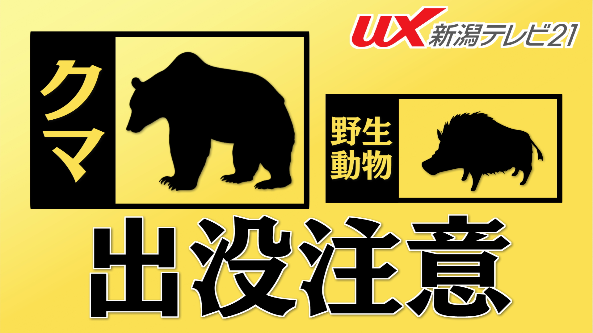 村上市の公園でイノシシ3頭を目撃 近くに住宅街も、警察が注意呼びかけ【新潟】 2025年09月15日(月)