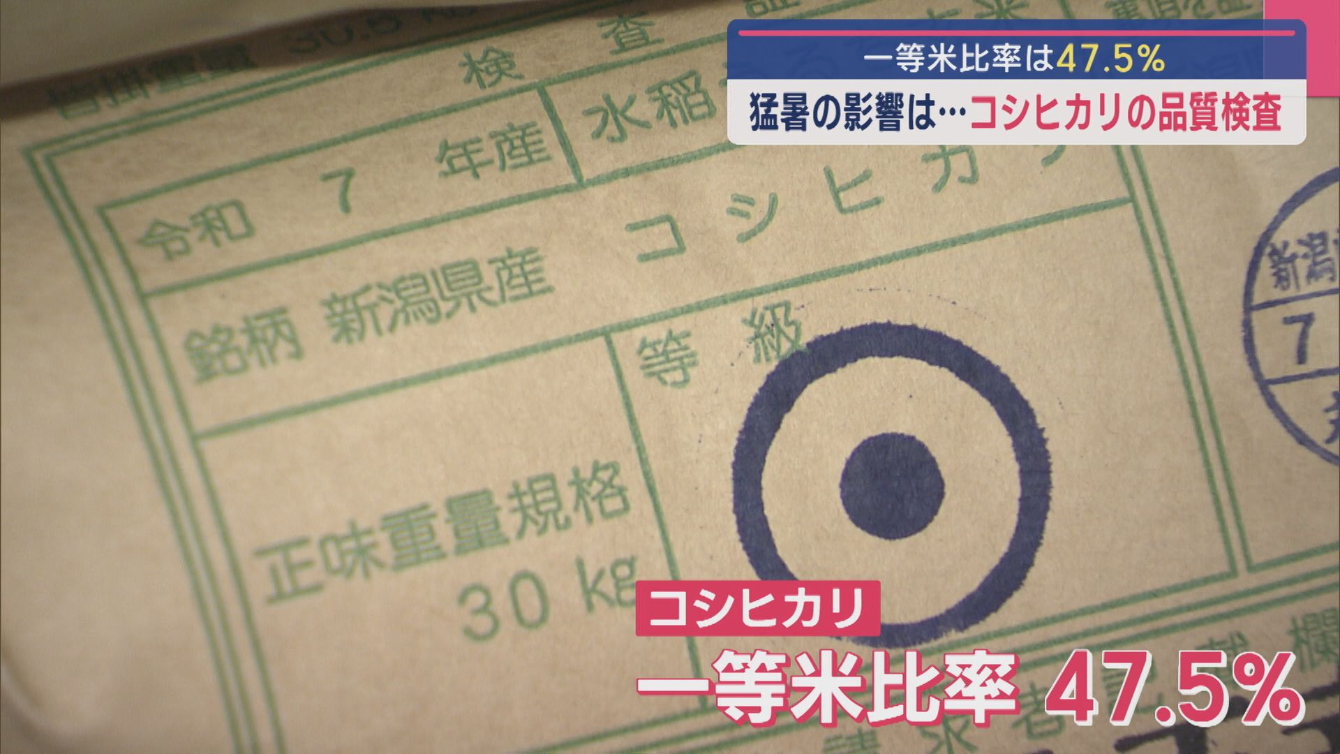 猛暑の影響は･･･コシヒカリの品質検査 一等米比率は47.5%【新潟】 2025年09月10日(水)