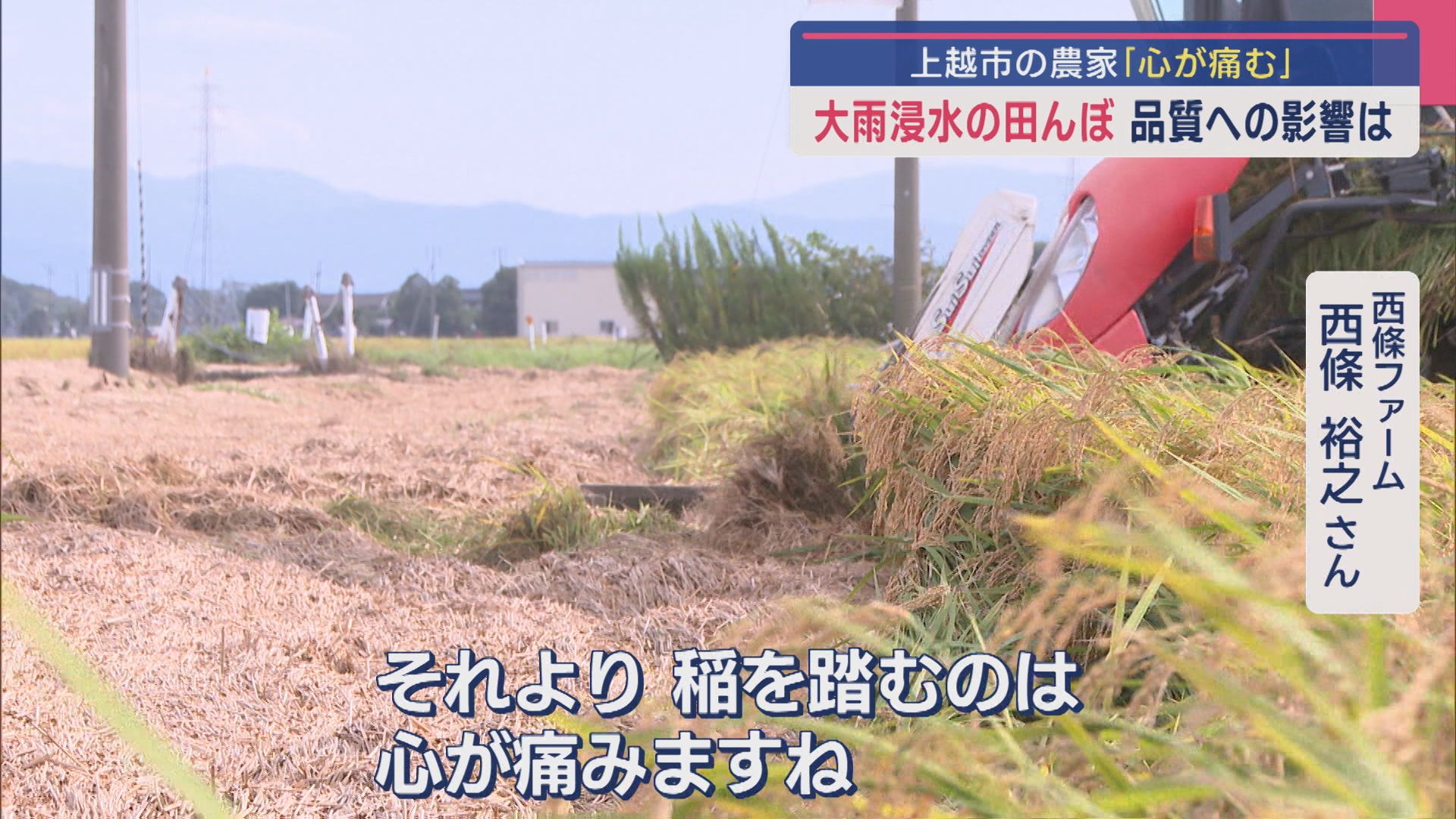 農家「稲を踏むのは心が痛む」大雨浸水の田んぼで稲刈り、品質への影響は【新潟･上越市】 2025年09月10日(水)