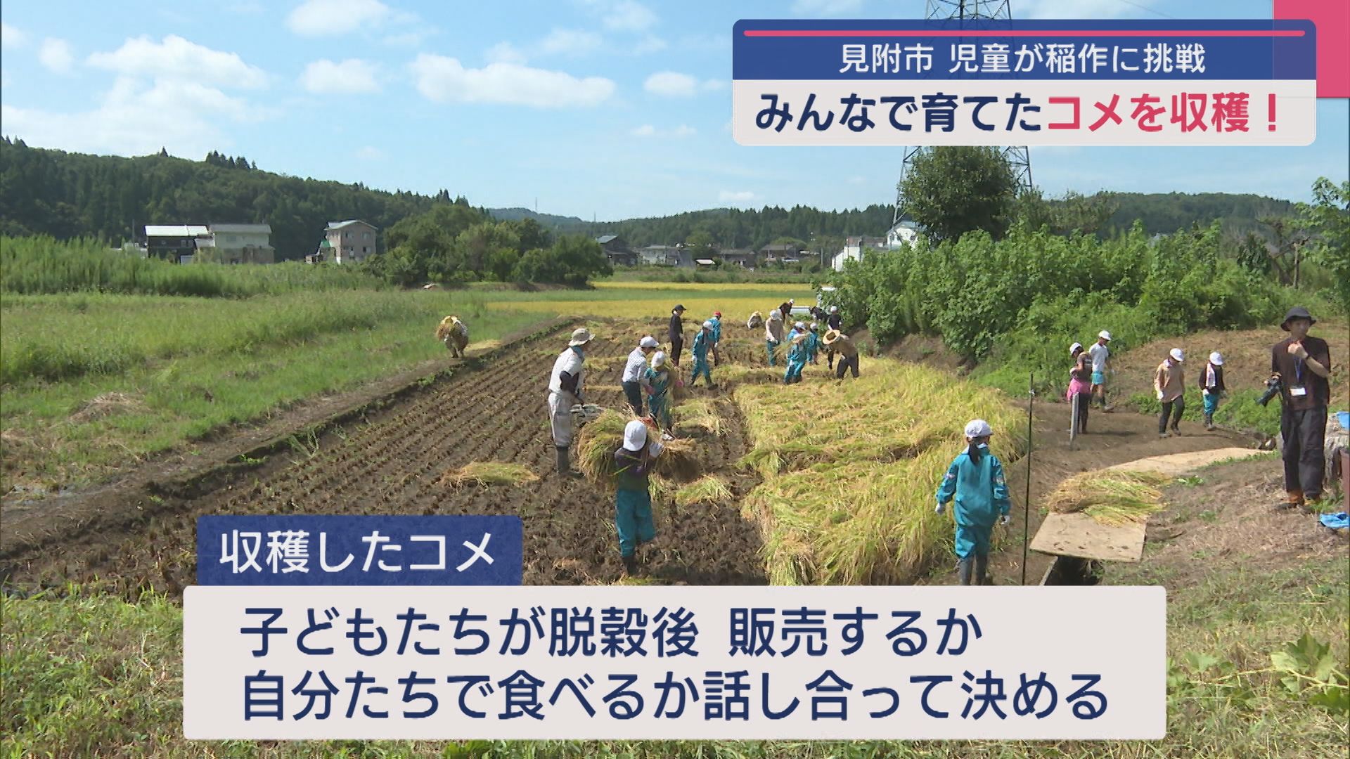 田植え･肥料作りから稲刈りも！小学生が育てたコメを収穫【新潟･見附市】 2025年09月10日(水)