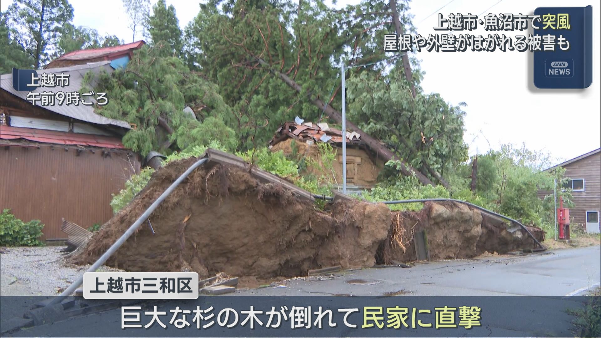 上越市･魚沼市で突風による被害発生、木が倒れ民家直撃も【新潟】 2025年09月11日(木)