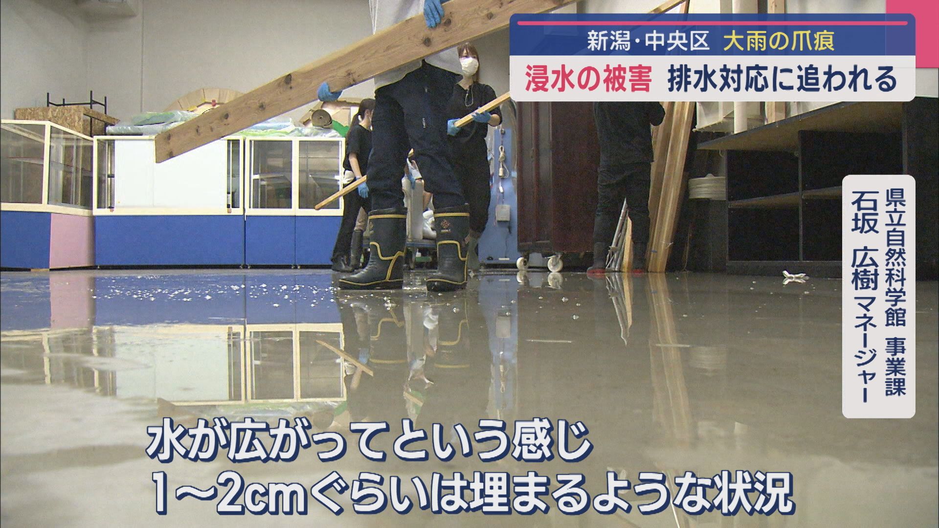 新潟市中央区でも大雨の爪痕…浸水の被害「一瞬でひろがるというのは初めての経験」排水対応に追われる【新潟】 2025年09月11日(木)
