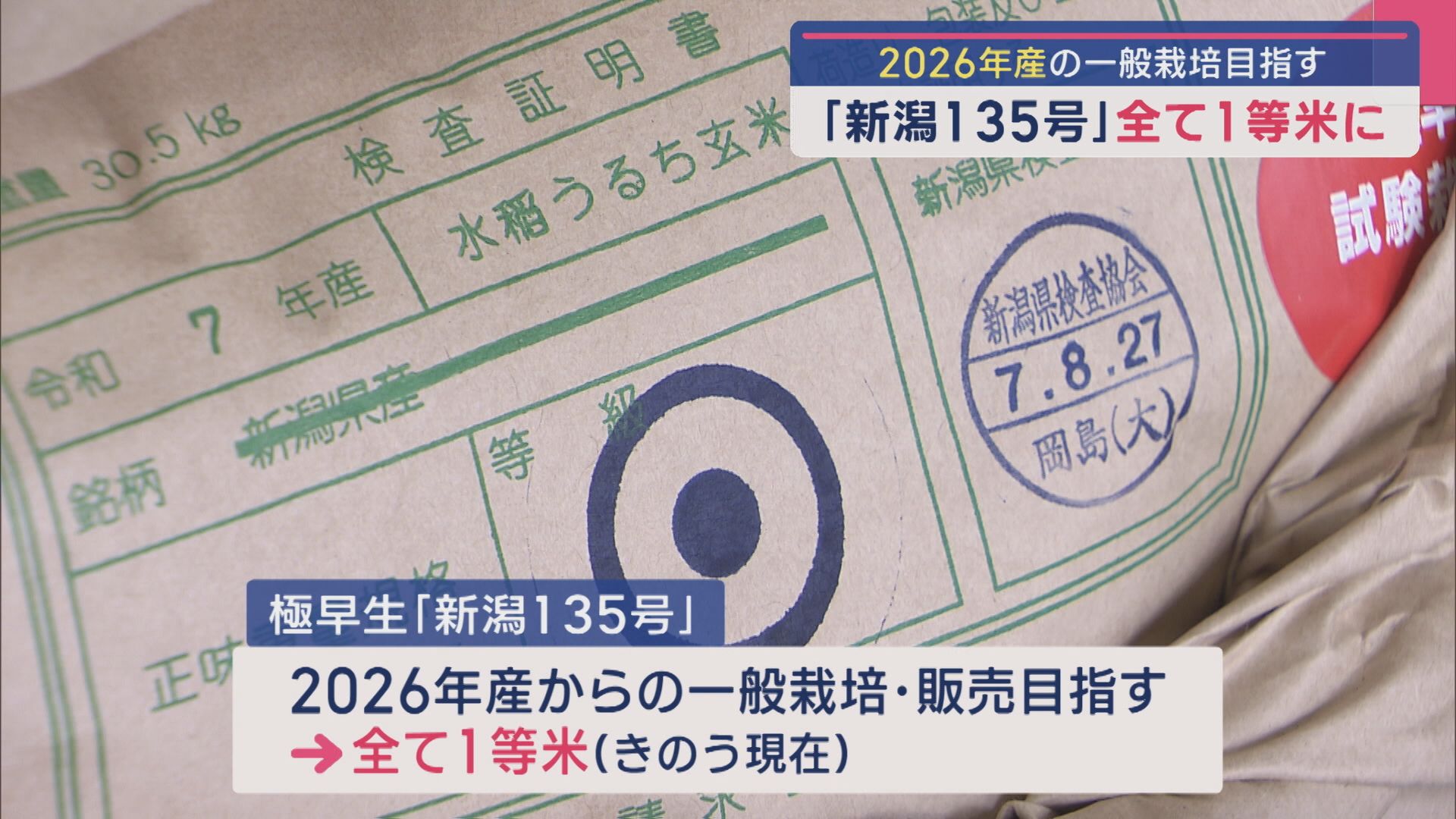 「新潟135号」すべて1等米に 2026年産の一般栽培目指す【新潟】 2025年09月11日(木)