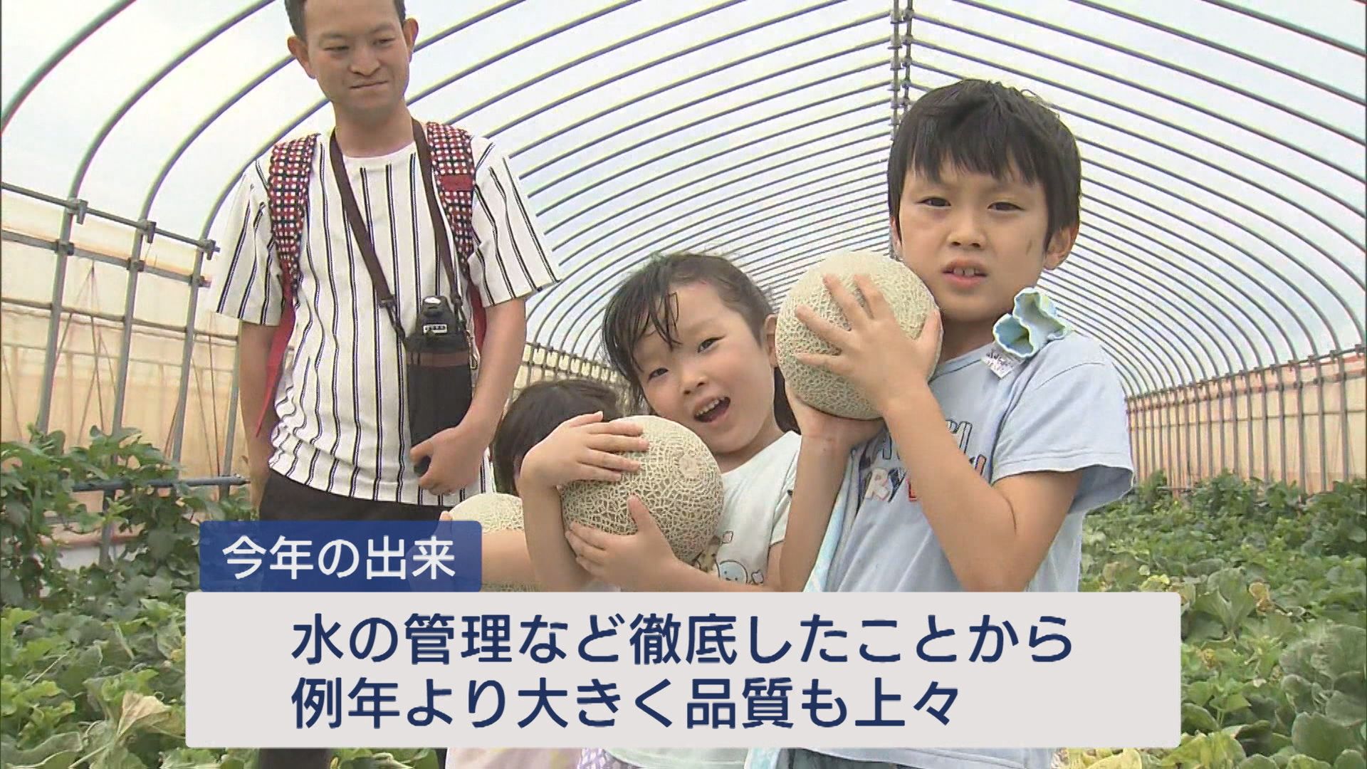 新潟市西区の農園で「探すのが楽しかった」子どもたちがメロンの収穫体験【新潟】 2025年09月22日(月)
