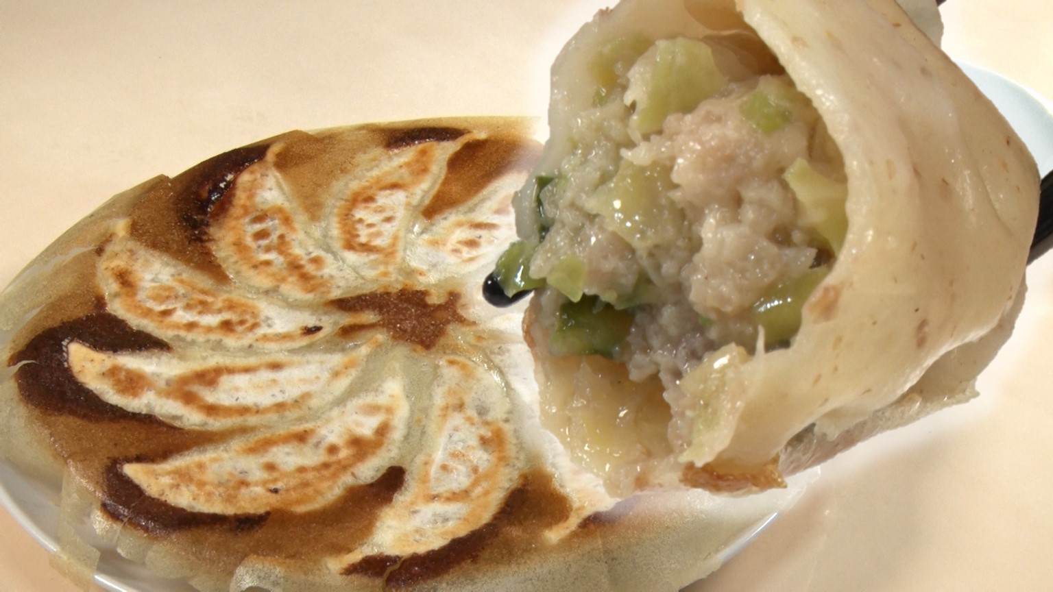 【新潟グルメ】あの担々麺で人気のラーメン店が作る1個30g！餃子好き必見「もちもちえびす餃子」【新潟市中央区】 2025年09月30日(火)