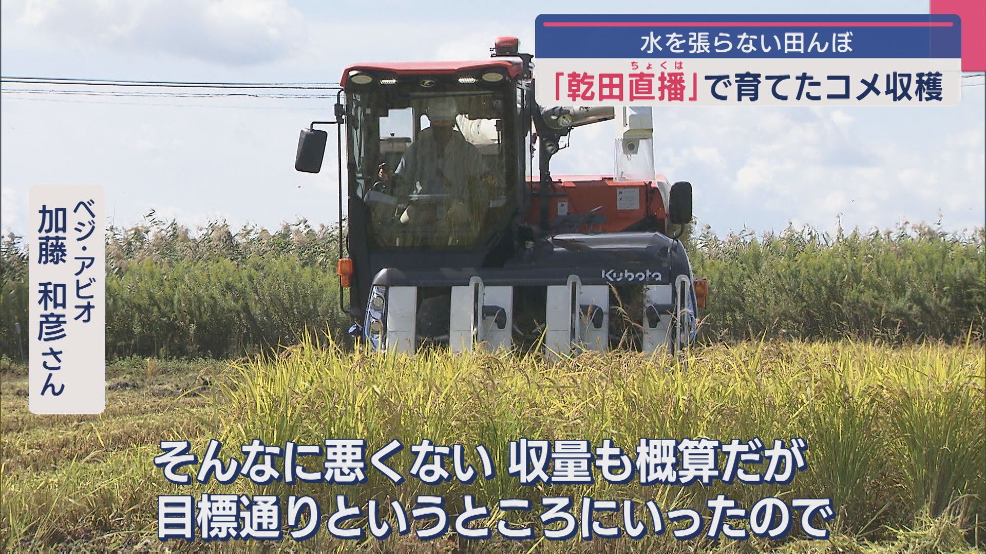 水を張らない田んぼ〝乾田直播〟で育てたコメの稲刈り「収量も目標通り」【新潟】 2025年10月02日(木)