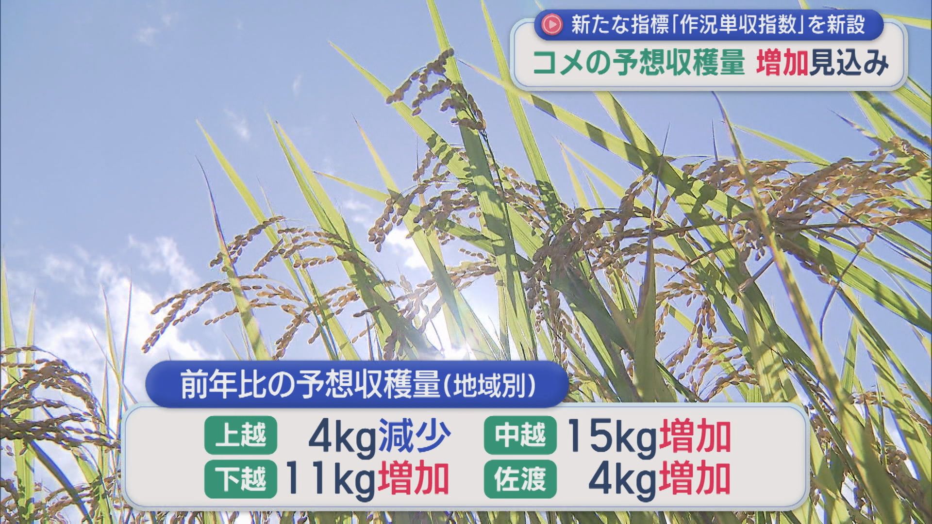 新たな指標「作況単収指数」を新設、コメの予想収穫量 前年産より増加見込み【新潟】 2025年10月10日(金)