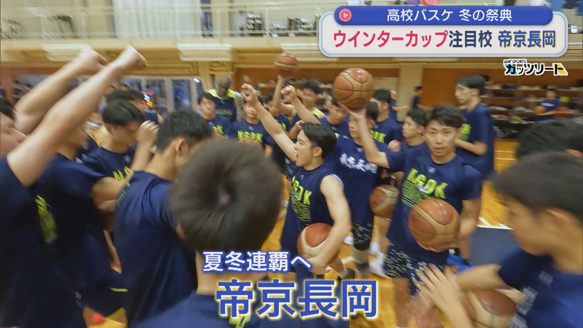 【高校バスケ男子｜ウインターカップ】夏冬連覇を目指す「帝京長岡」（注目校①）【新潟】 2025年10月27日(月)