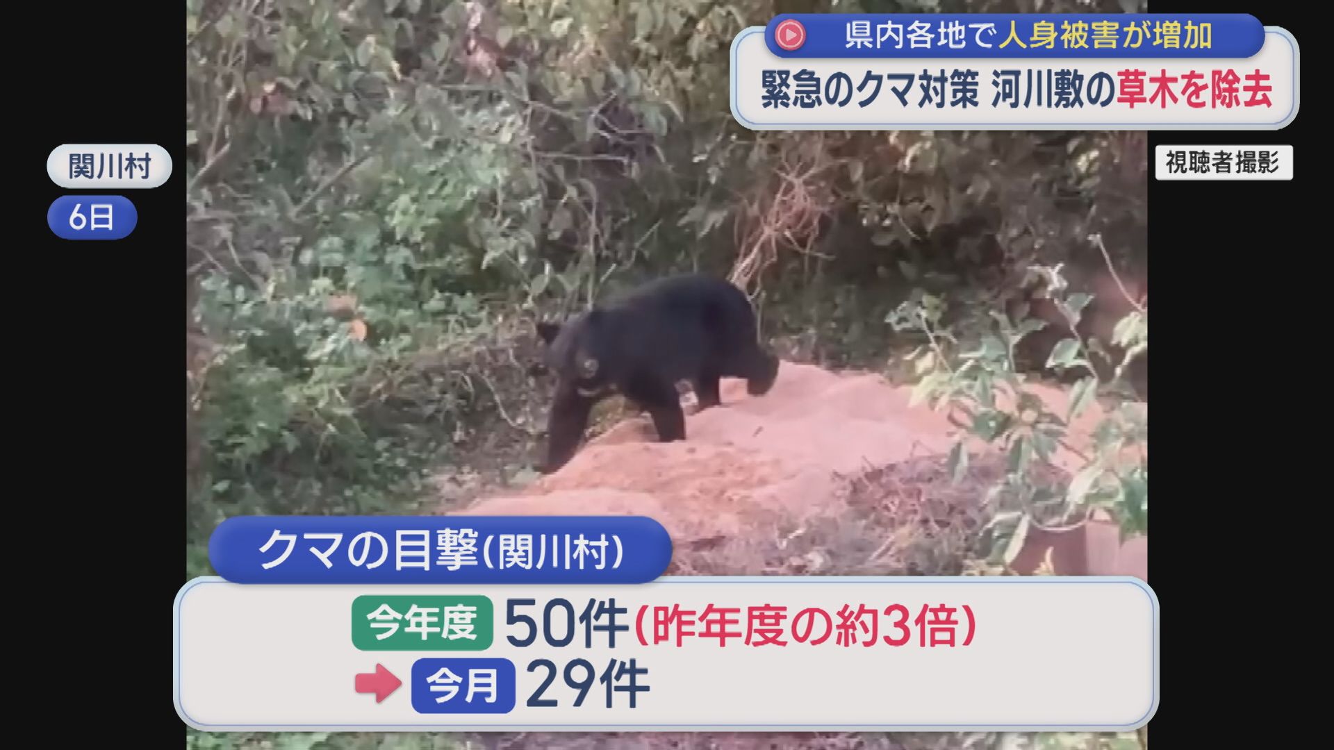 緊急のクマ対策 通り道とみられる全長2kmの草木を踏み倒しクマを早期に発見【新潟･関川村】 2025年10月28日(火)