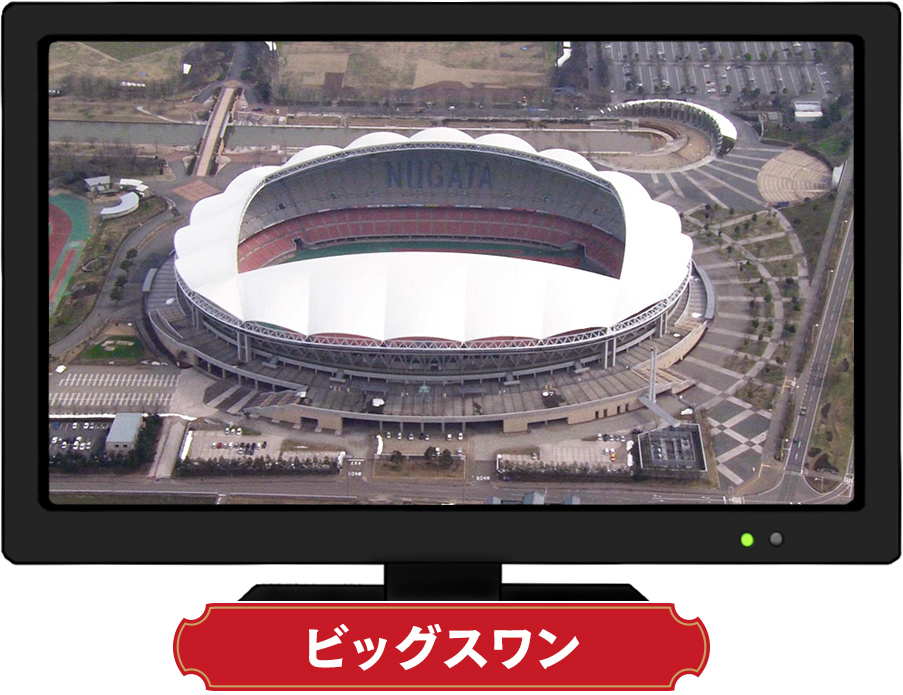 ビッグスワン