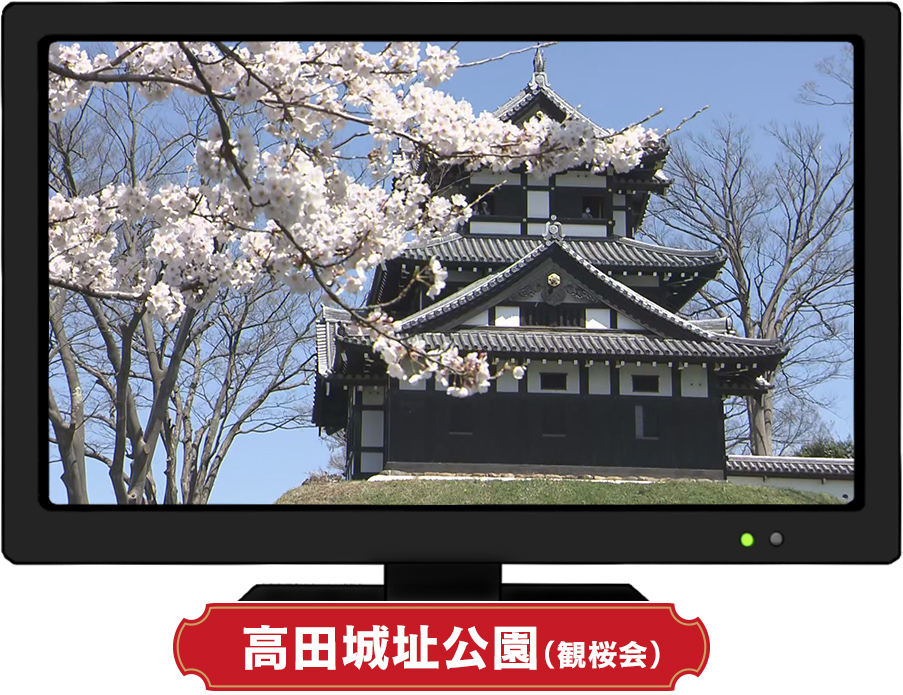 高田城址公園