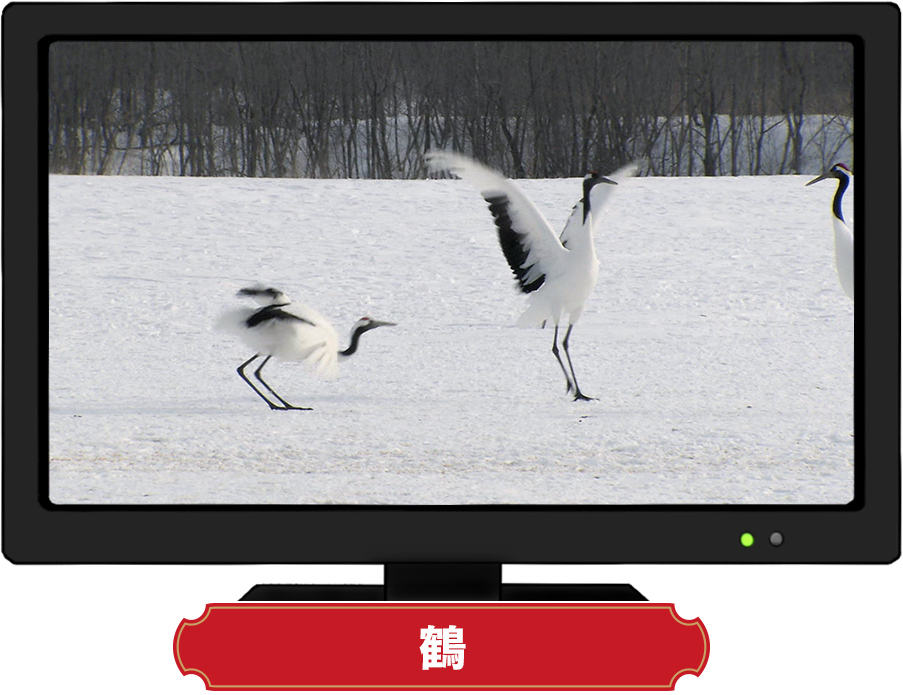 鶴