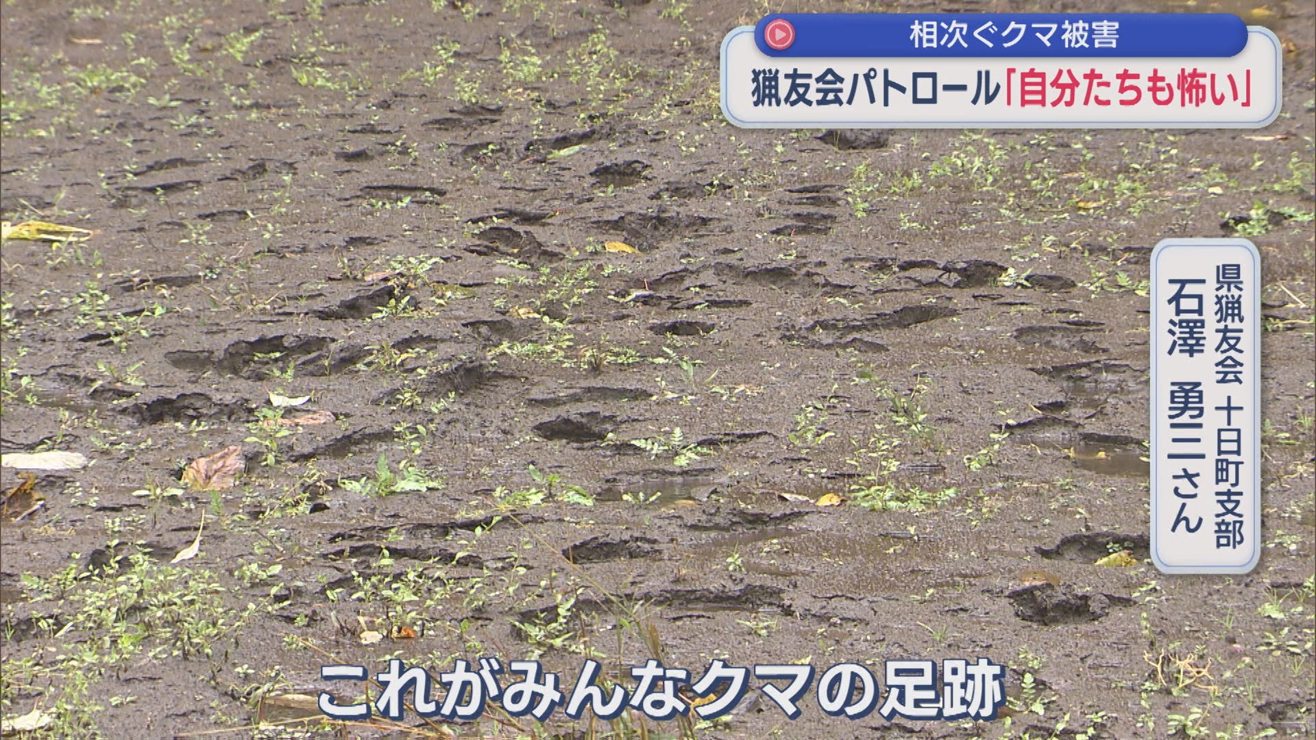 わなにかかるクマは例年の2倍以上･･･猟友会「自分たちも怖い」パトロールに同行【新潟･十日町市】 2025年11月10日(月)