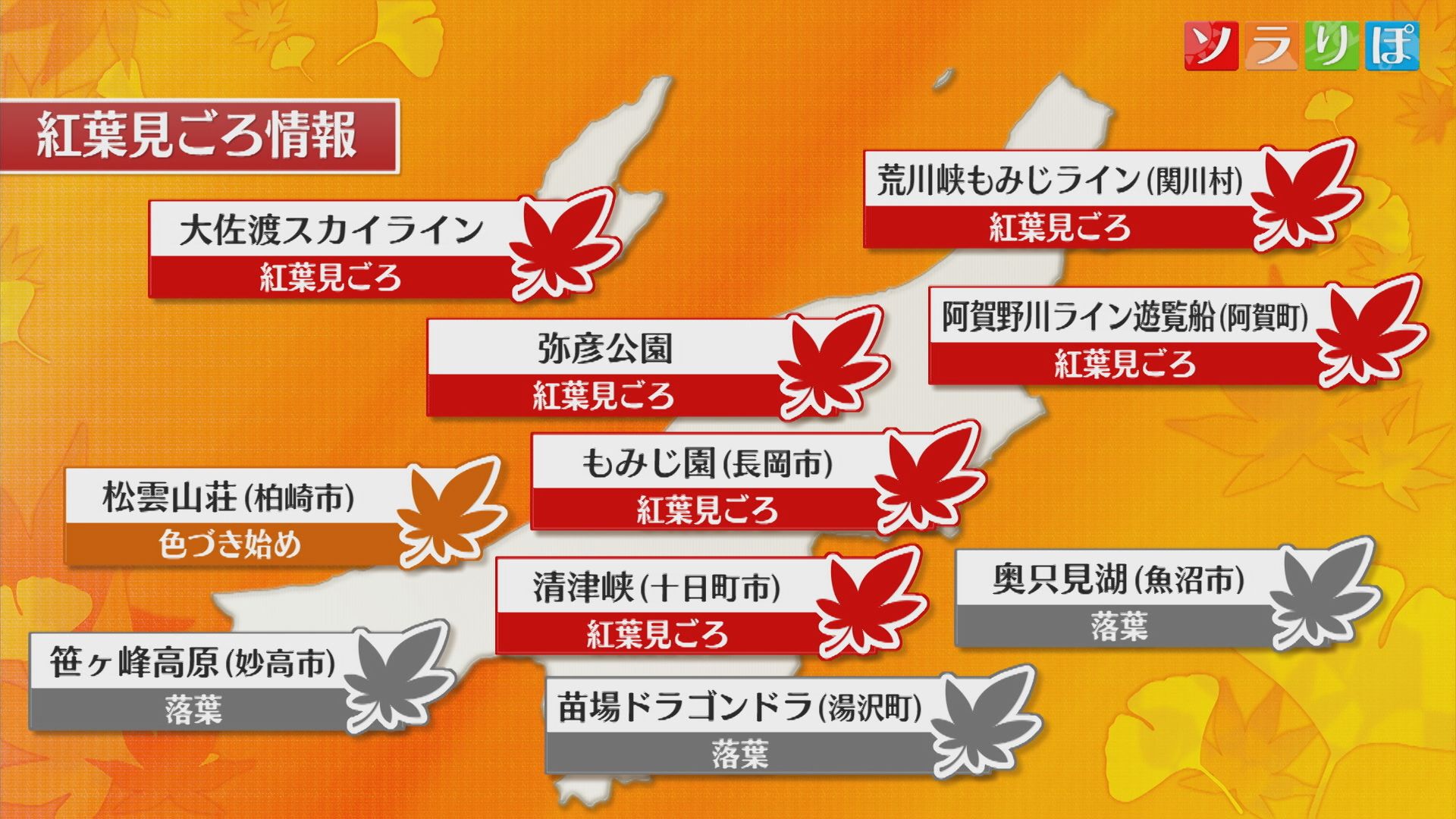 明日は各地とも穏やかな天気に、平地では紅葉見ごろ多く【これからの天気(11日18時40分現在)｜新潟】 2025年11月11日(火)