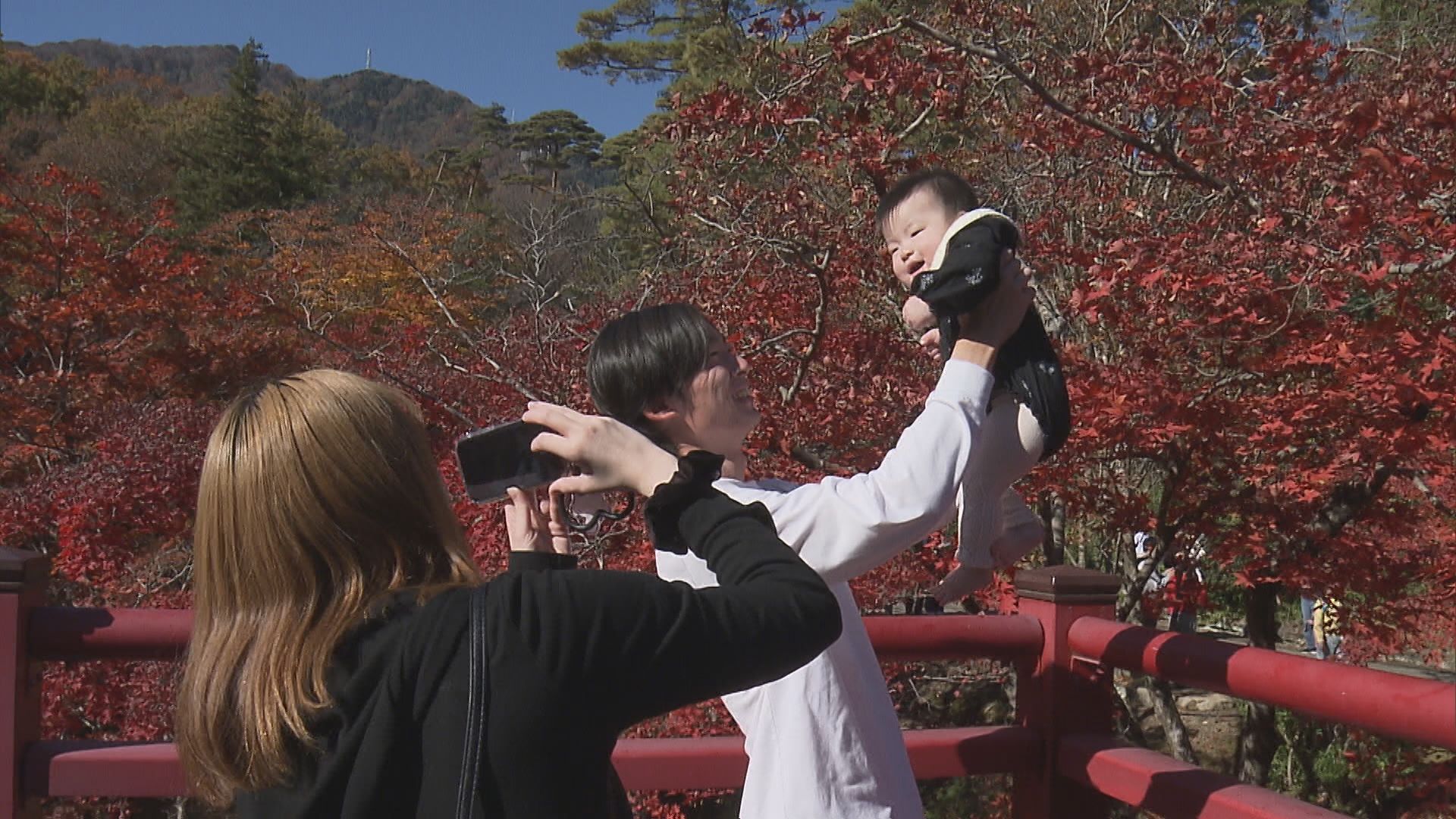 色鮮やかな紅葉を見に家族連れでにぎわう 紅葉の名所・弥彦公園のもみじ谷【新潟･弥彦村】