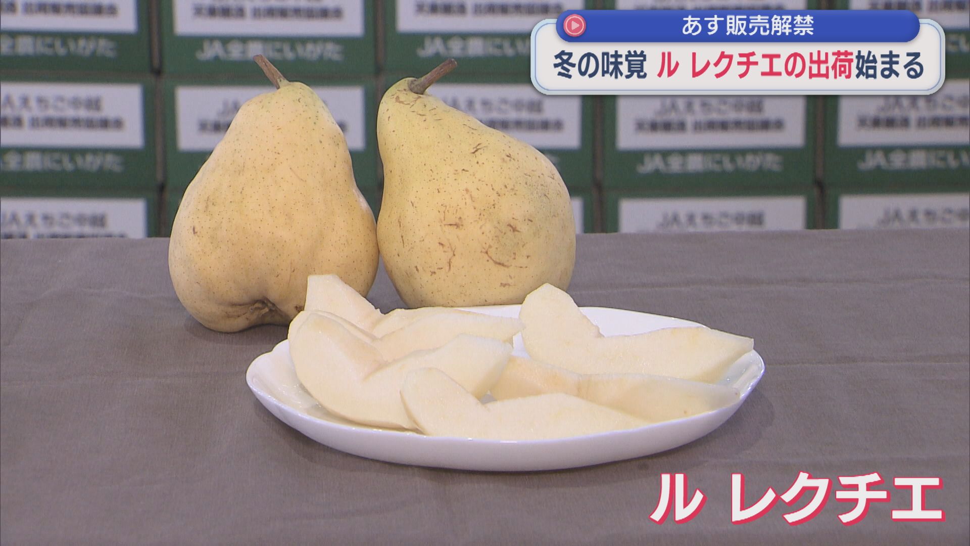 20日販売解禁！とろっと滑らかな食感 冬の味覚「ル レクチエ」の出荷始まる【新潟･加茂市】 2025年11月19日(水)