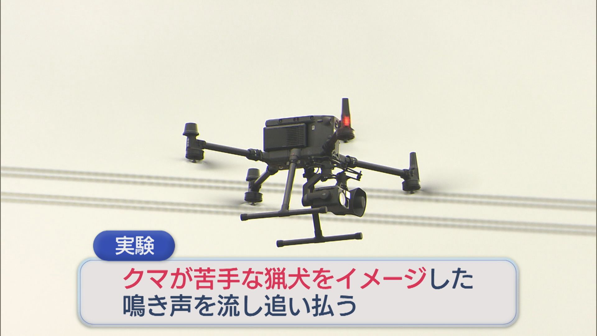 ドローンから「猟犬の鳴き声」空からクマを追い払う実験、来年度の実用化を目指す【新潟】 2025年11月24日(月)