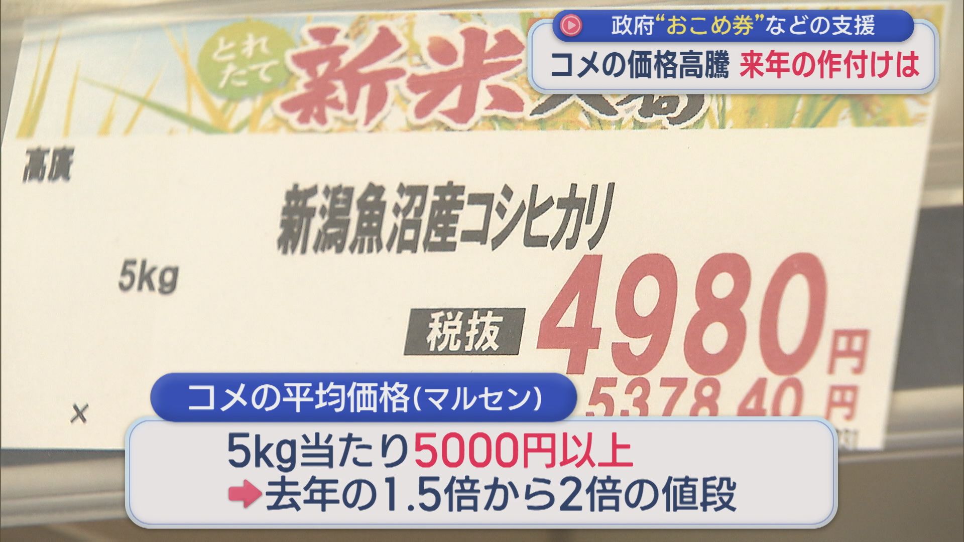 コメの価格高騰続く 政府が「おこめ券」などの支援盛り込む、買い物客の反応は【新潟】 2025年11月25日(火)