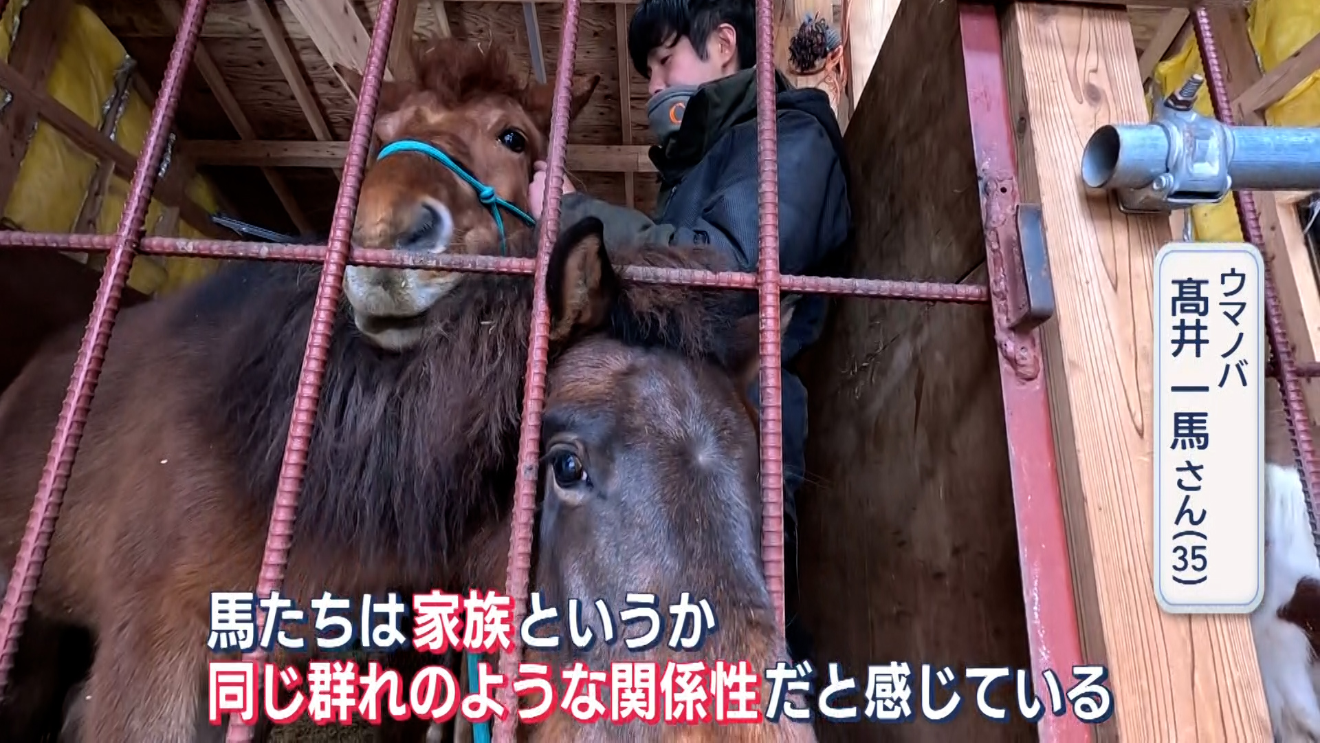 【特集】相棒は「馬」！雪国を盛り上げようと奮闘する 馬を愛する午年の男性が魅力発信【新潟･湯沢町】 2026年01月07日(水)