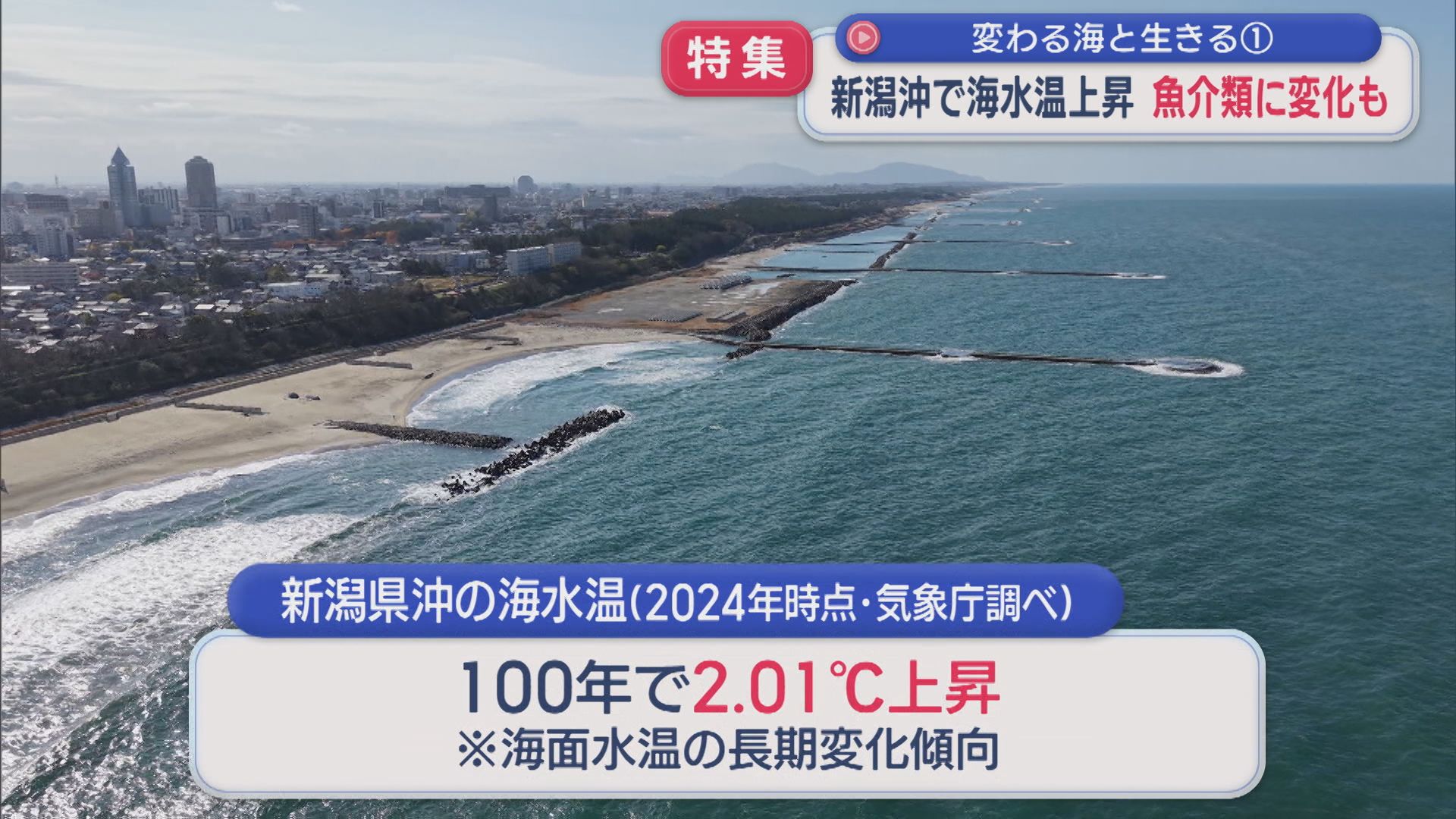 【特集｜変わる海と生きる①】新潟沖で海水温上昇･･･魚介類の変化に漁師は【新潟】 2026年01月16日(金)
