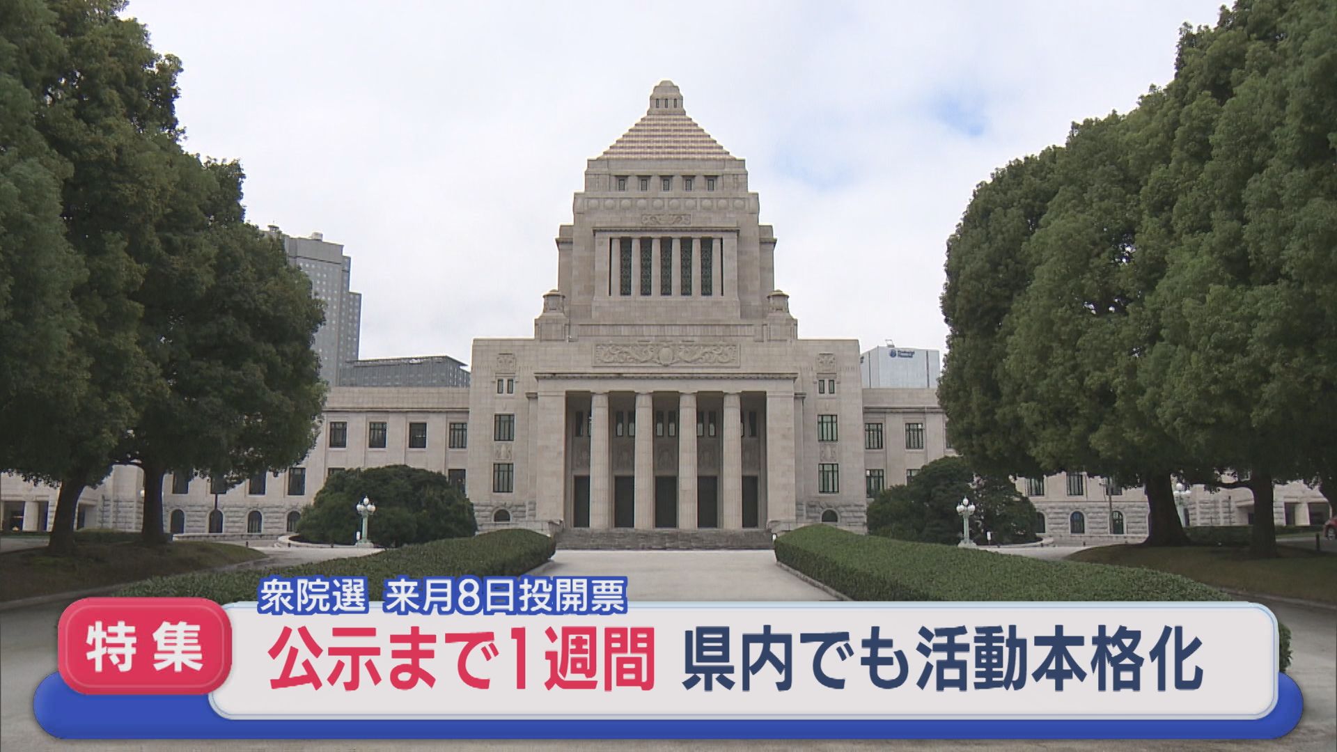 【特集｜衆院選】何を訴える？県内でも活動本格化：27日公示、2月8日投開票へ【新潟】 2026年01月20日(火)