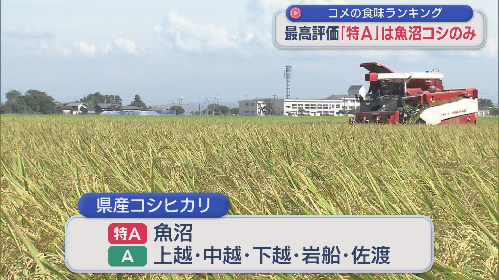 県産コシヒカリでは「魚沼」が8年連続で最高評価「特A」を獲得：コメの食味ランキング【新潟】 2026年02月27日(金)