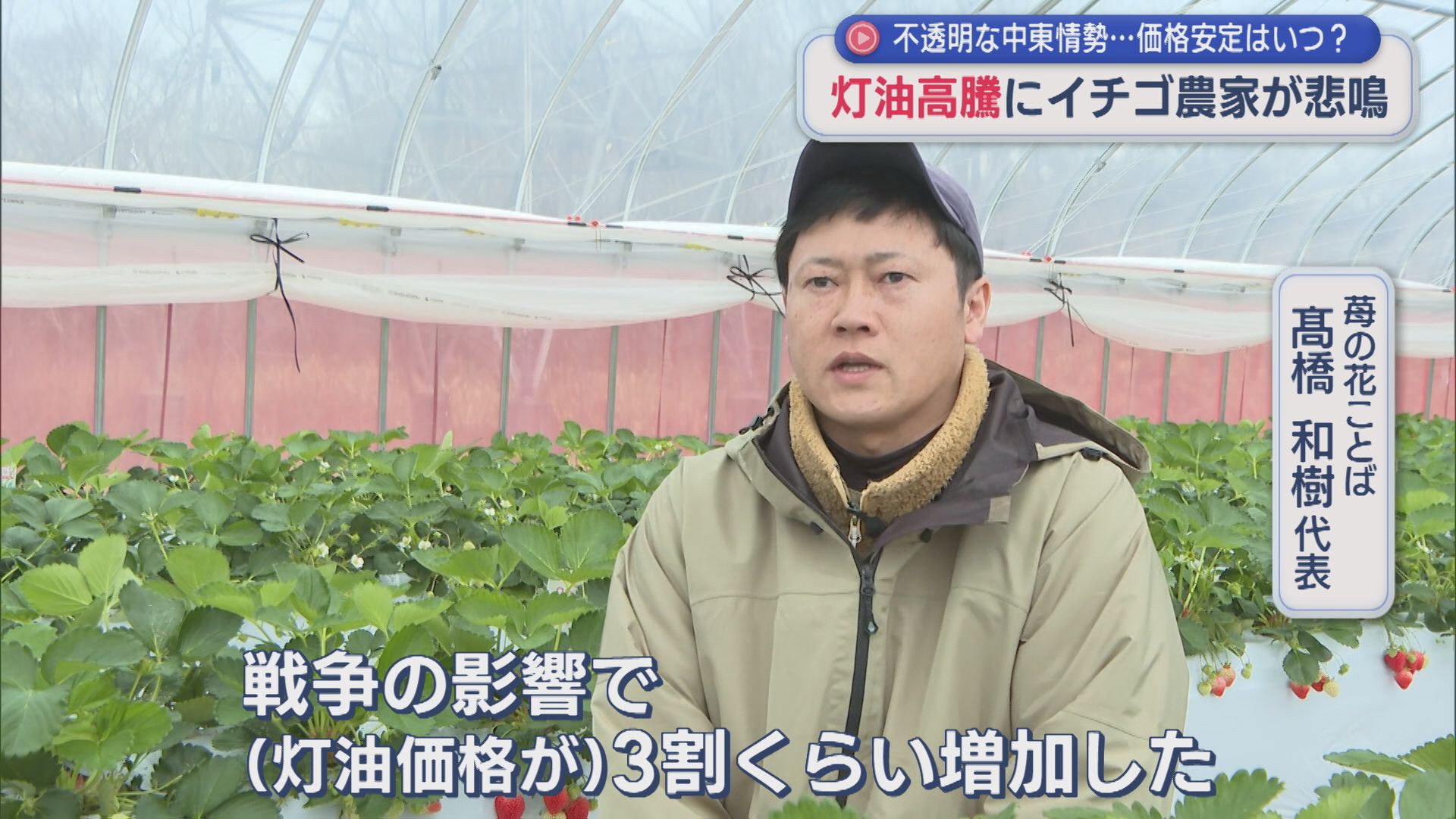 灯油高騰にイチゴ農家が悲鳴･･･価格安定はいつ？政府は26日に国家備蓄を放出開始【新潟･上越市】 2026年03月26日(木)
