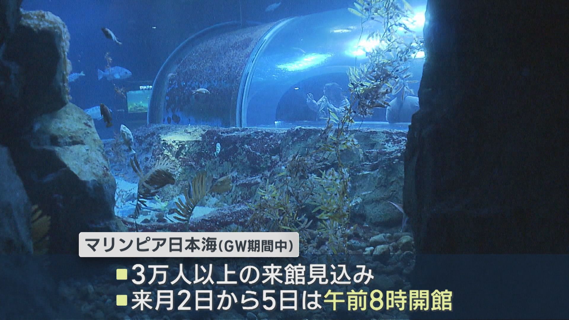 マリントンネルにペンギン！GWスタート 行楽地にぎわう【新潟】 2026年04月29日(水)