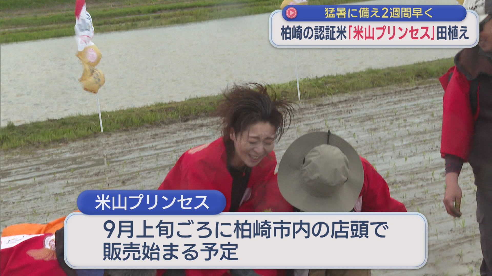 猛暑に備え2週間早く 30の農家が認証目指し「米山プリンセス」田植え始まる【新潟･柏崎市】 2026年05月01日(金)