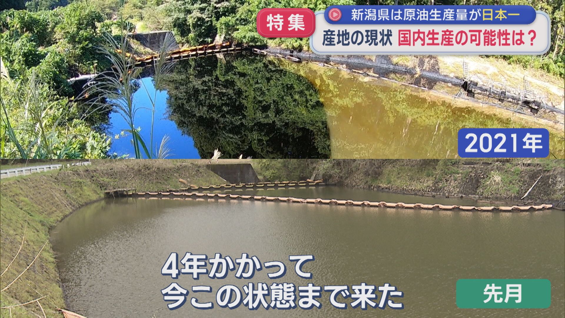 【特集】湧き出す原油･･･池が真っ黒だったあの場所、その後：新潟県は「原油」生産量が日本一【新潟】 2026年05月07日(木)