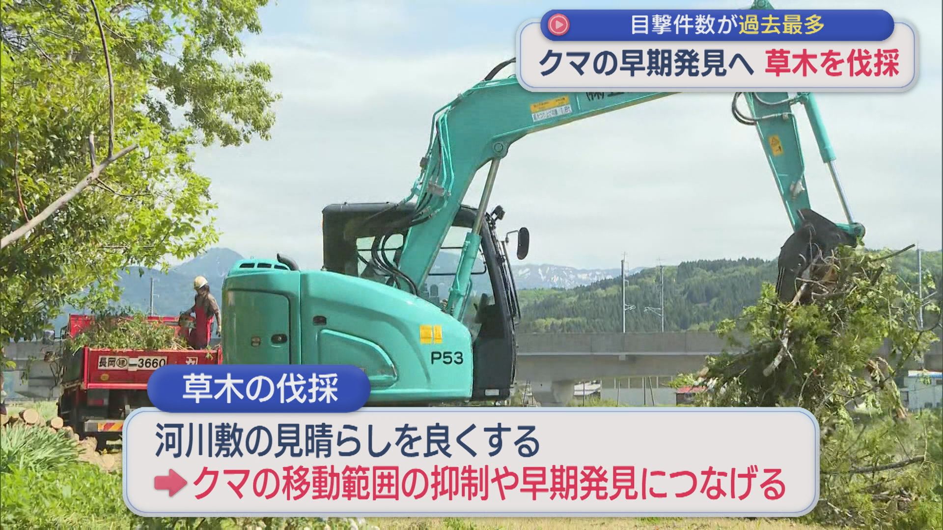 県内のクマ目撃件数が過去最多127件･･･クマの早期発見へ 河川敷の草木伐採【新潟･糸魚川市】 2026年05月13日(水)