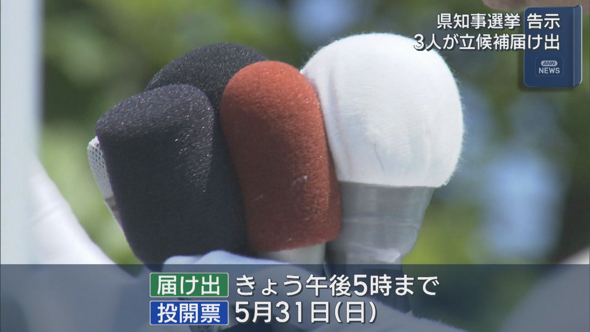【県知事選挙｜告示】現職と新人あわせて3人が立候補届け出、新潟市内で第一声：31日投開票【新潟】 2026年05月14日(木)