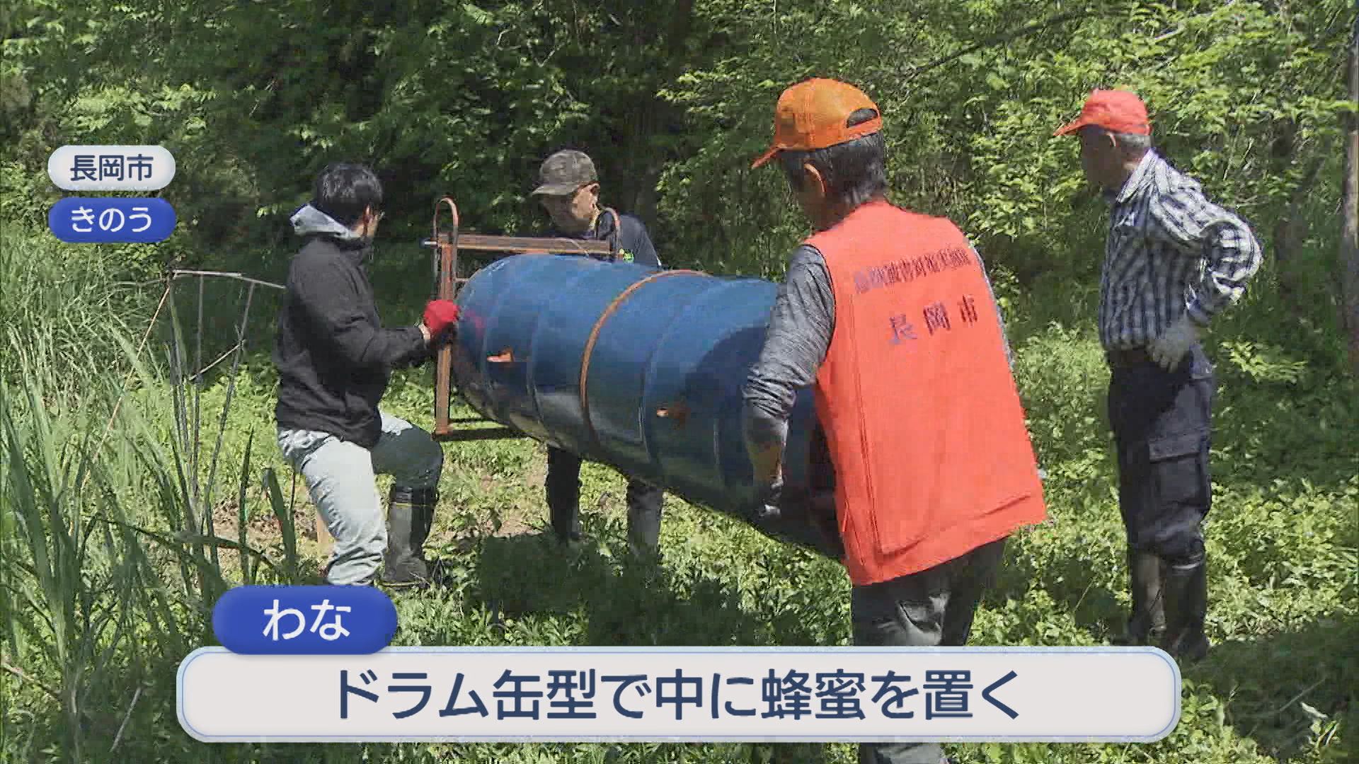 危険がある山中に「一番確率が高い」クマ捕獲用のわな設置【新潟・長岡市】 2026年05月16日(土)