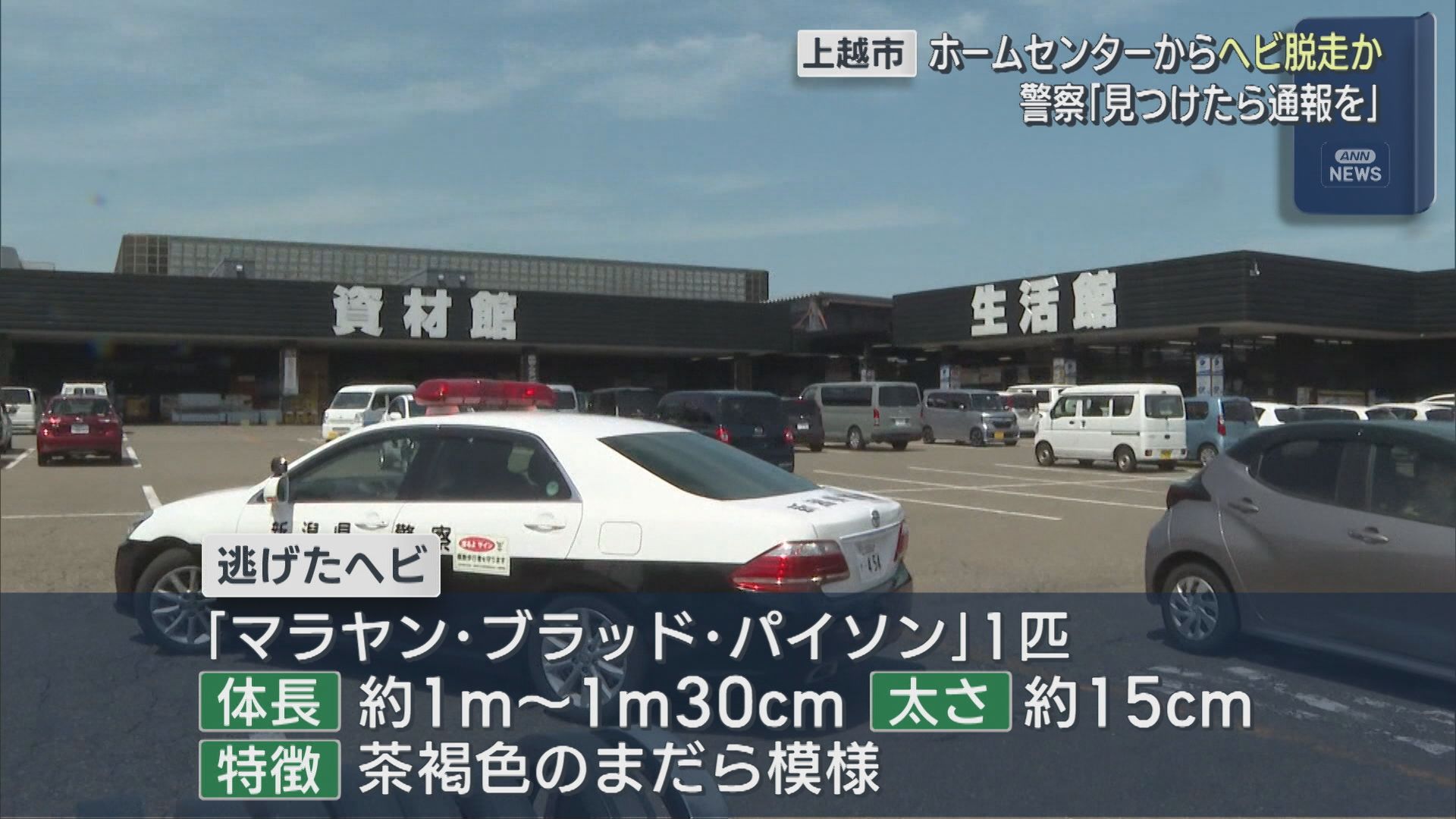 警察「見つけたら通報を」ホームセンターからヘビ脱走か【新潟･上越市】 2026年05月19日(火)