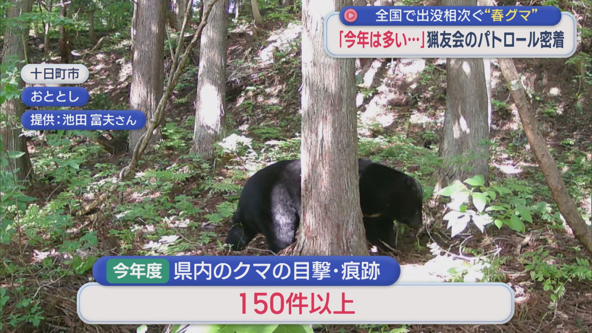 冬眠明けの春グマ「人里や住宅の近くに」あちこちに痕跡･･･猟友会パトロールに密着【新潟･十日町市】 2026年05月22日(金)