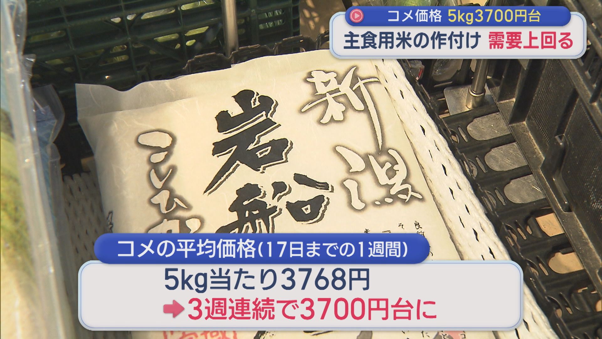 コメ価格3週連続で5kg3700円台「一番動きやすい価格帯」主食用の作付けが最大需要見通しを上回る【新潟】 2026年05月25日(月)