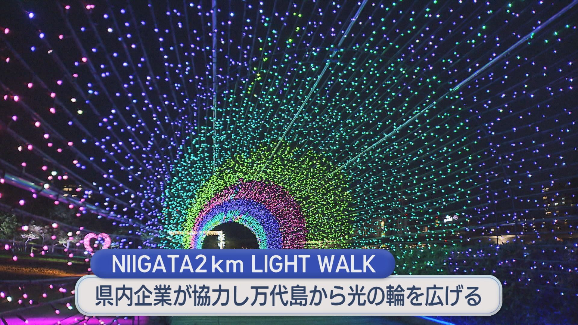 ハートやアーチなど立体的なイルミネーション！万代島エリアでライトアップ始まる【新潟】 2026年06月07日(日)