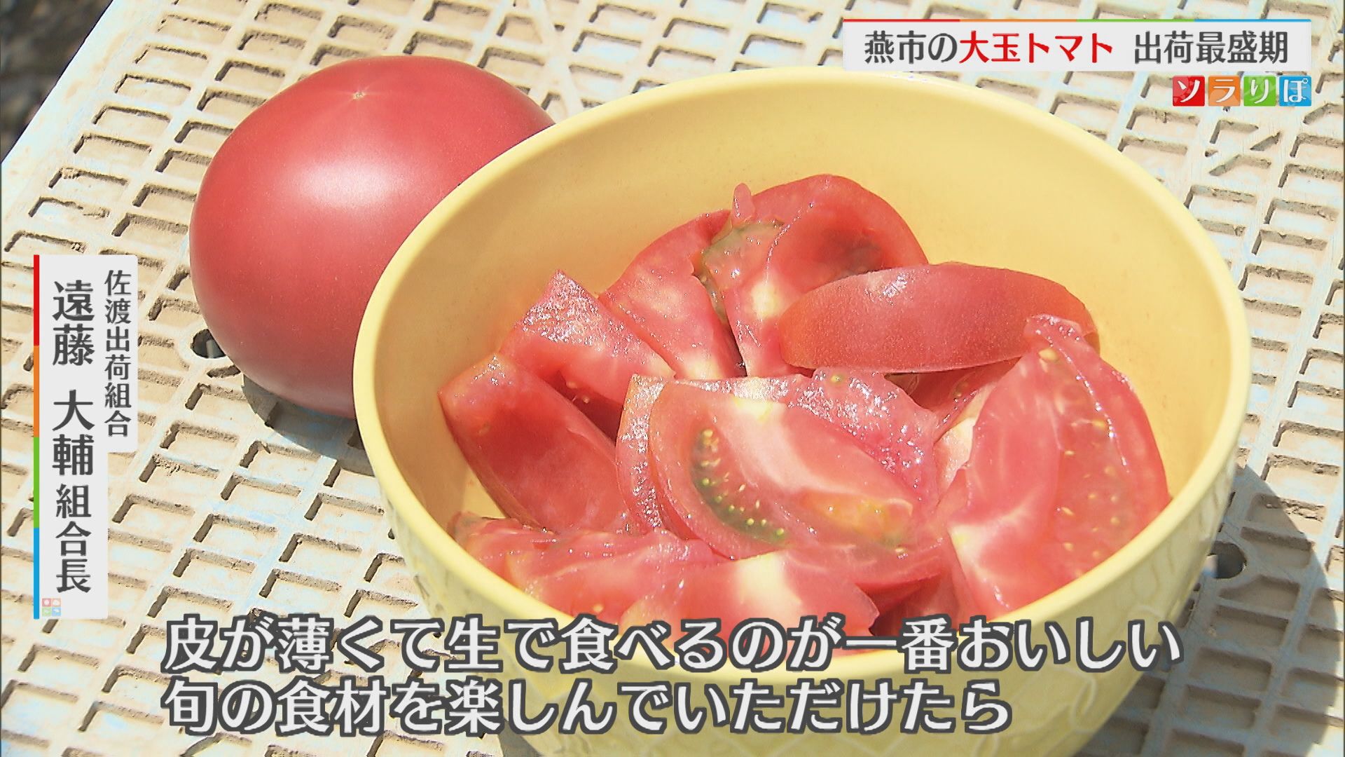 皮が薄く甘みとほどよい酸味が特徴 燕市の「大玉トマト」出荷最盛期【新潟】 2026年06月10日(水)