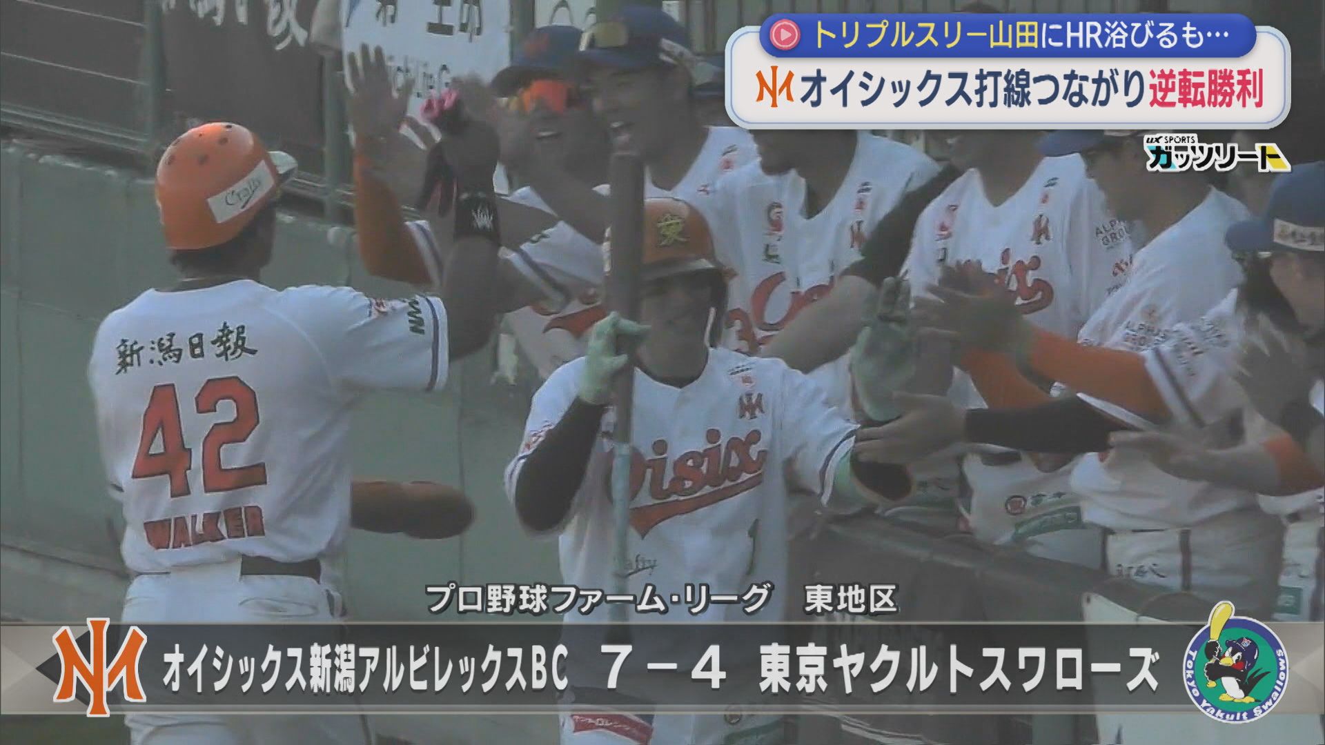 【プロ野球｜オイシックス】トリプルスリー山田にHR浴びるも･･･打線つながり逆転勝利【新潟】 2026年06月15日(月)