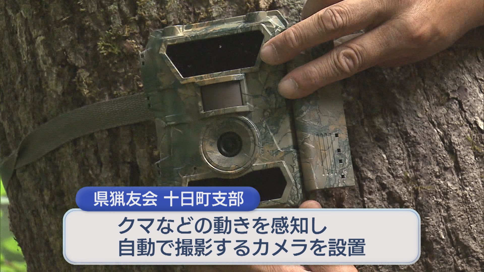 クマの生息数「実態を記録したい」山中にカメラ設置【新潟・十日町市】 2026年06月20日(土)