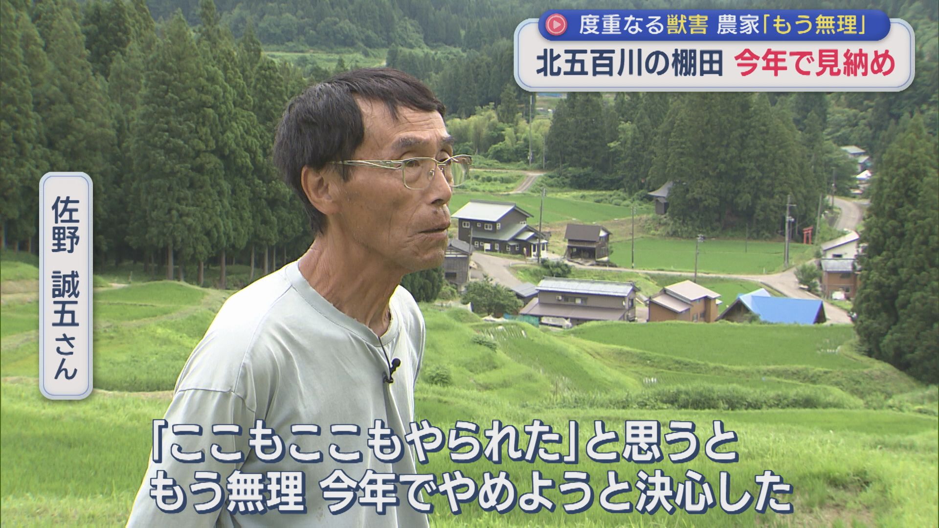 度重なる獣害･･･農家「もう無理」北五百川の棚田 今年で見納め【新潟・三条市】 2026年06月25日(木)