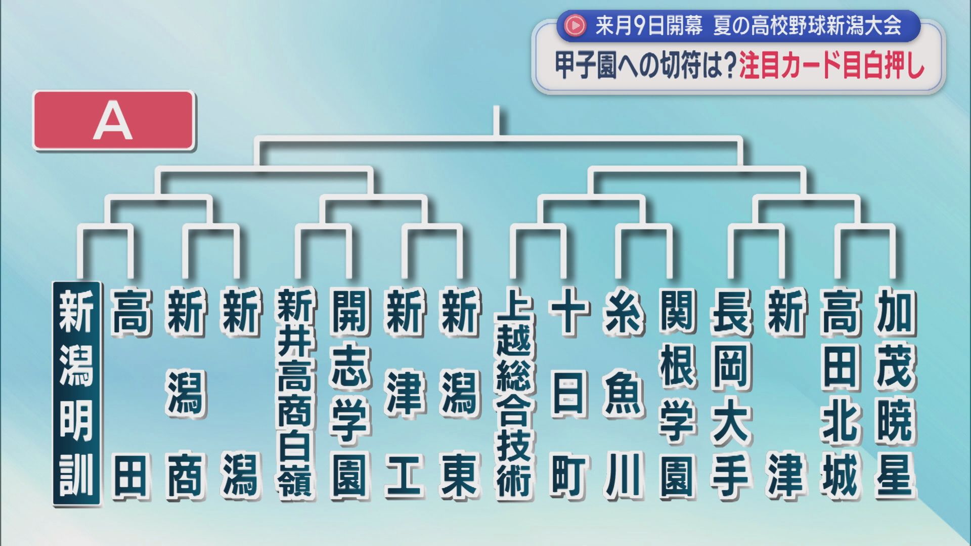 【夏の高校野球】注目の組み合わせは？注目カードが目白押し、初戦から強豪激突【新潟】 2026年06月26日(金)