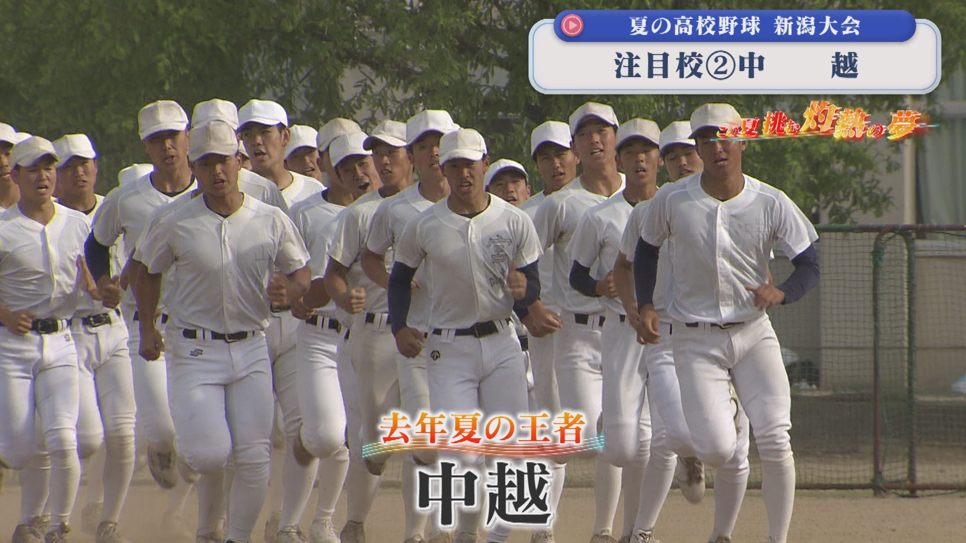 【夏の高校野球】もう一度あの舞台へ 2025年夏の王者「中越」：注目校②【新潟】 2026年07月01日(水)