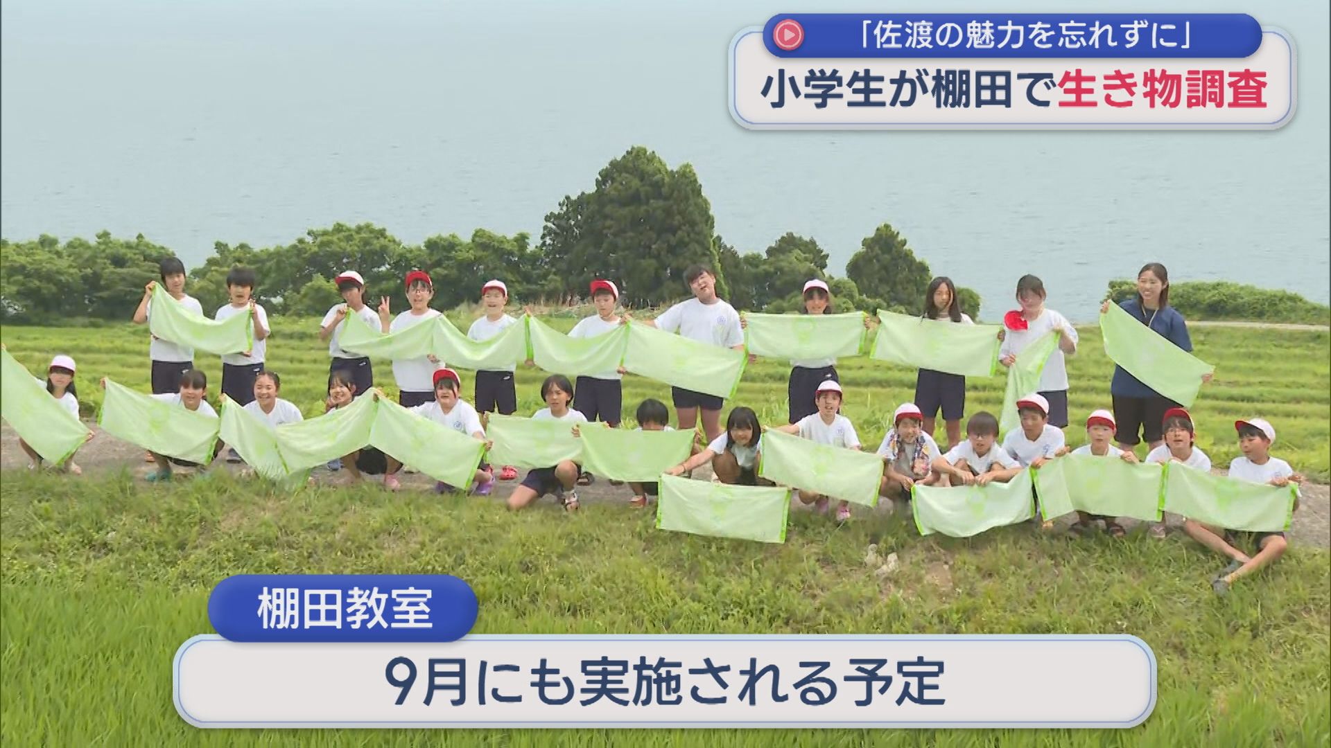 地域の手で守られてきた「歌見の棚田」小学生が生き物調査【新潟・佐渡市】 2026年07月01日(水)