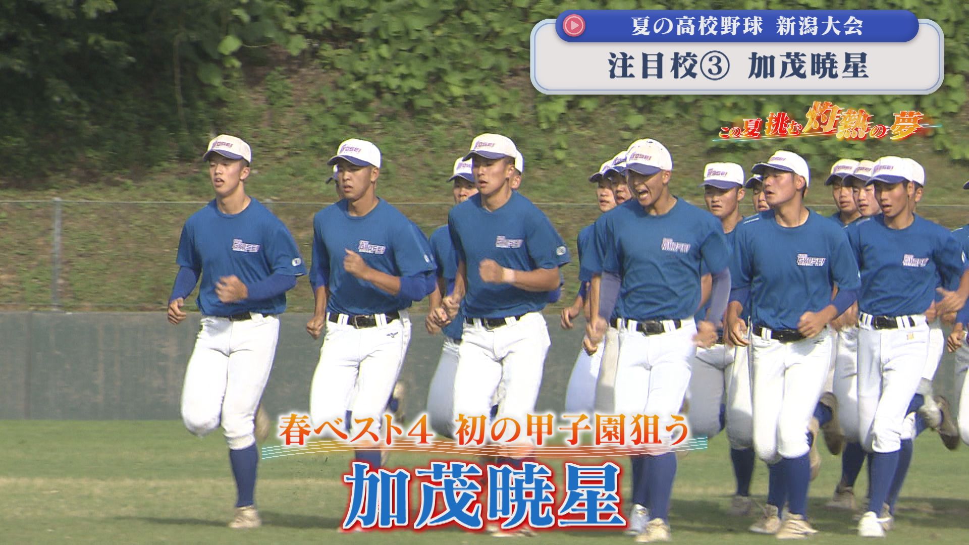 【夏の高校野球】春ベスト4 初の甲子園狙う「加茂暁星」：注目校③【新潟】 2026年07月02日(木)