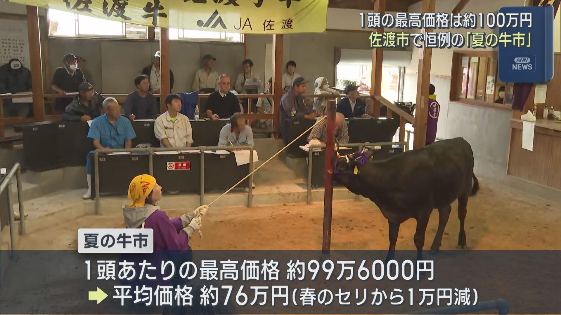 1頭の最高価格は約100万円 佐渡市で恒例の「夏の牛市」県外から買い付けに【新潟】 2026年07月03日(金)