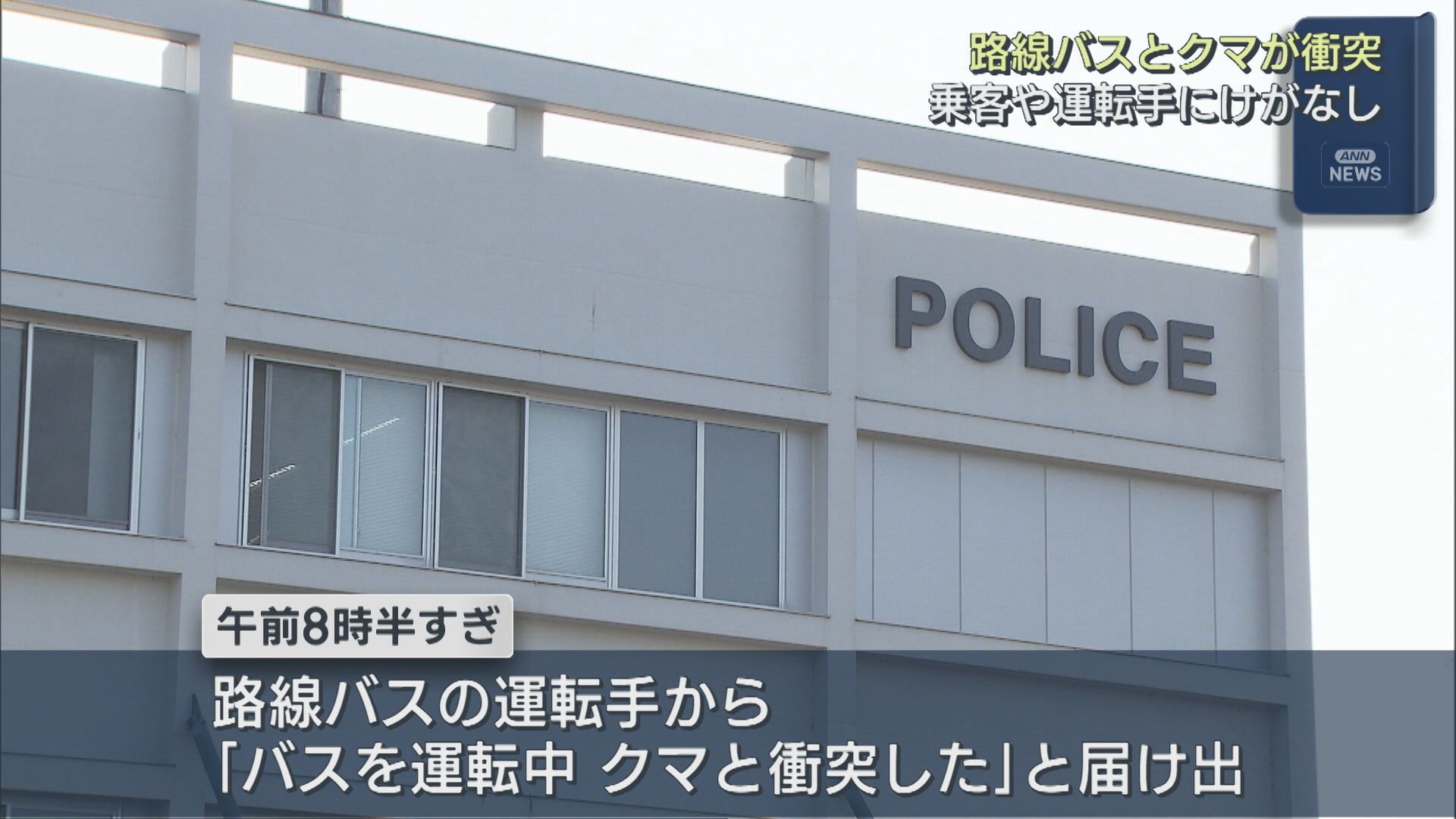 妙高市の県道で路線バスと体長約80cmのクマが衝突 ケガ人なし【新潟】 2026年07月09日(木)