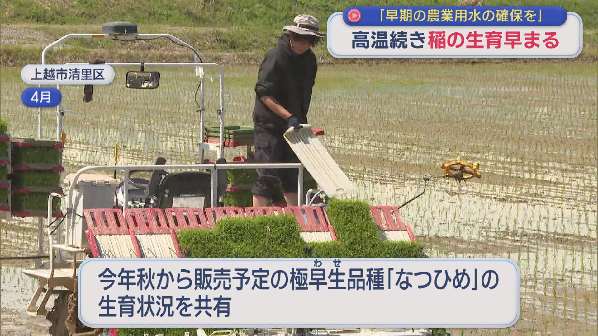 高温続き･･･稲の生育早まる「早期の農業用水の確保を」県やJAが対策会議【新潟】 2026年07月09日(木)
