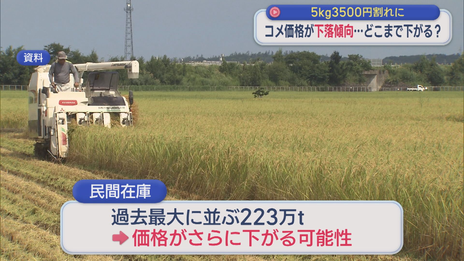 コメ価格が下落傾向･･･どこまで下がる？5kg3500円割れに【新潟】 2026年07月13日(月)