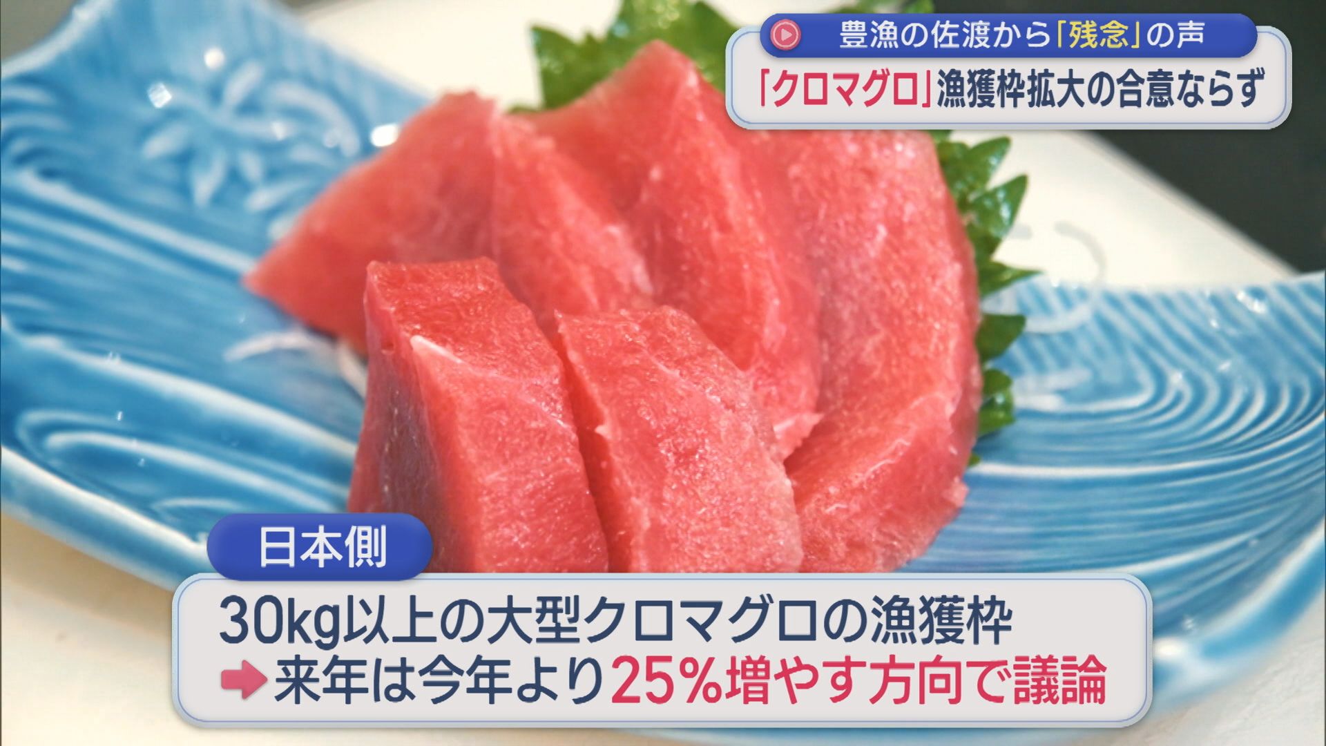 豊漁の佐渡からは「残念」の声･･･クロマグロ漁獲枠拡大の合意ならず【新潟】 2026年07月16日(木)